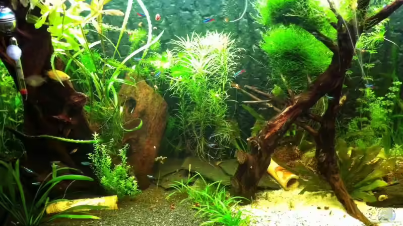 Stand 14.02.2011 von Daniel B (8)