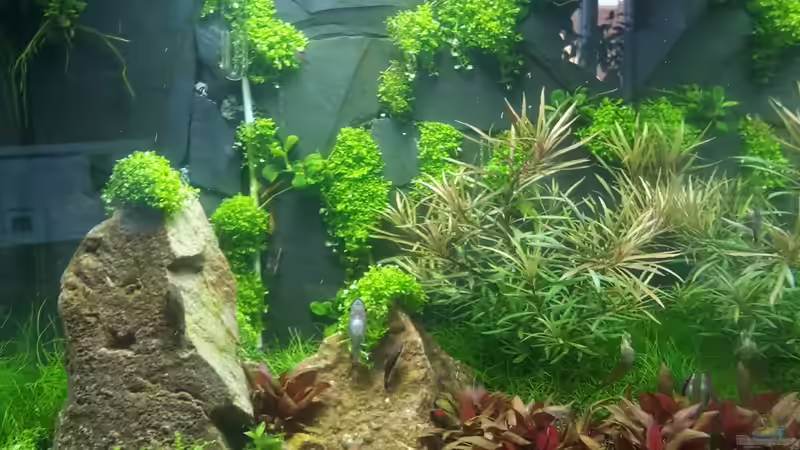 Stand 14.11.15 von Schallex (11)