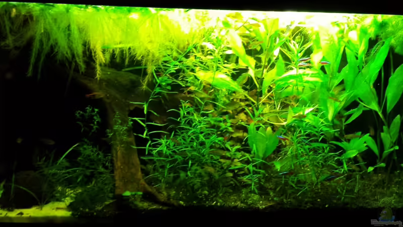 Stand 15.03.2015 von NRW (16)