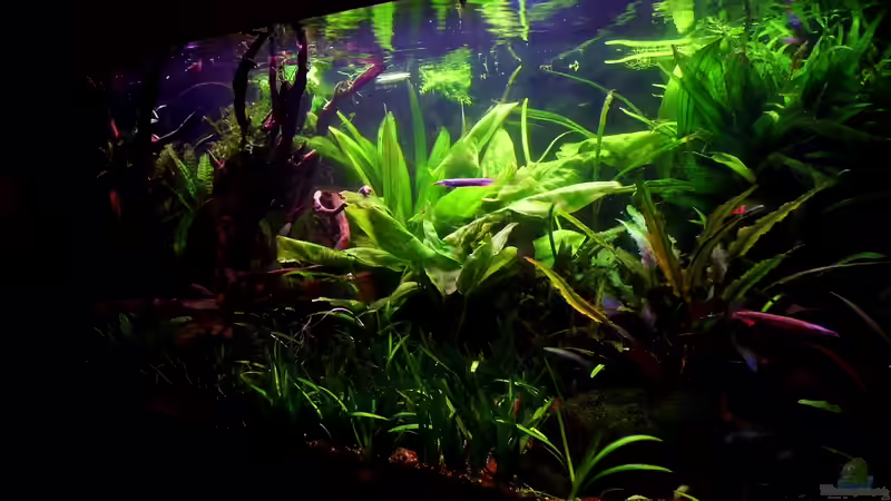 Stand 16.01.2014 von snooze (10)