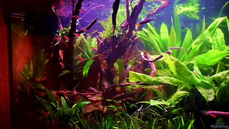 Stand 16.01.2014 von snooze (12)