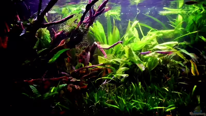 Stand 16.01.2014 von snooze (7)