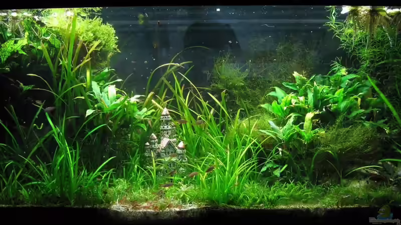 stand 16.02.10 von schnibbelxyz (5)