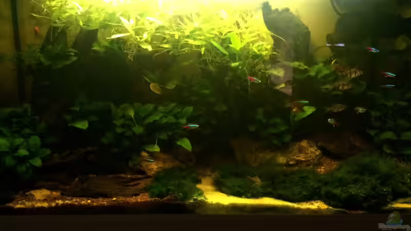 Stand 16.02.2014 - 1 von spanky_cruz (2)