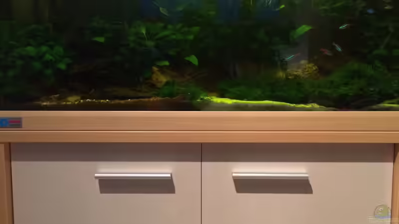 Stand 16.02.2014 - 2 von spanky_cruz (3)