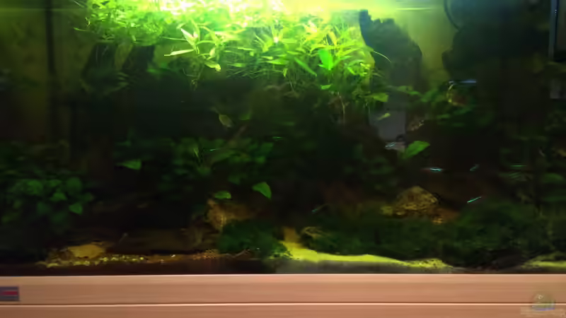 Stand 16.02.2014 - 3 von spanky_cruz (4)