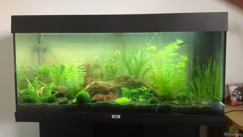 Stand 16.05.2013 von Mondüüü (5)