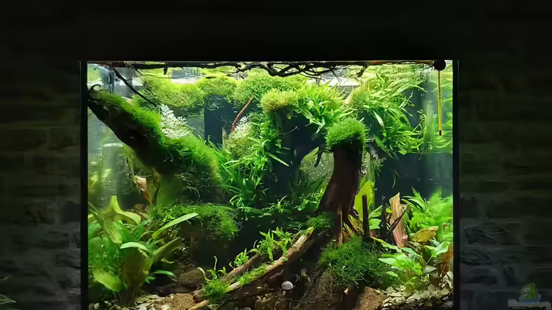 Stand 16.09.2021 von der Theoretiker (18)