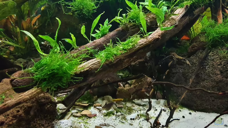 Stand 16.09.2021 von der Theoretiker (25)