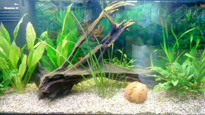 Stand 16.10.2011 von Digrisch (7)