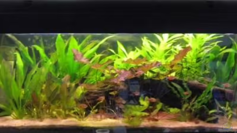 Stand 18.07.11 von Stephan Radtke (6)