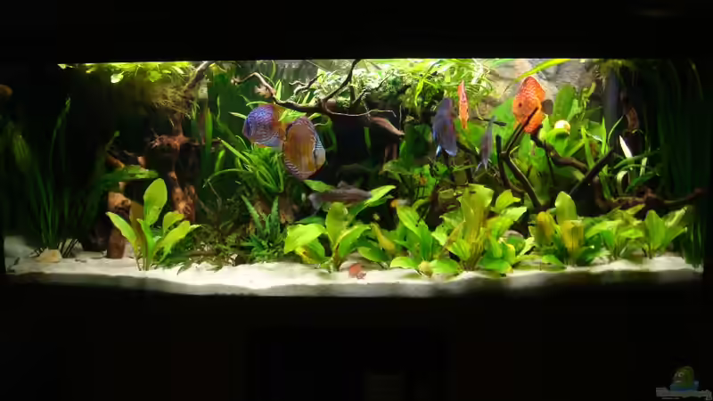 Stand 18.09.2010 von ekki (1)