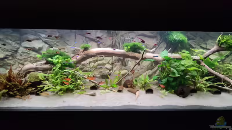 Stand 18.1.22 von Woidma (1)