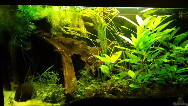 Stand 18.12.14 von NRW (2)