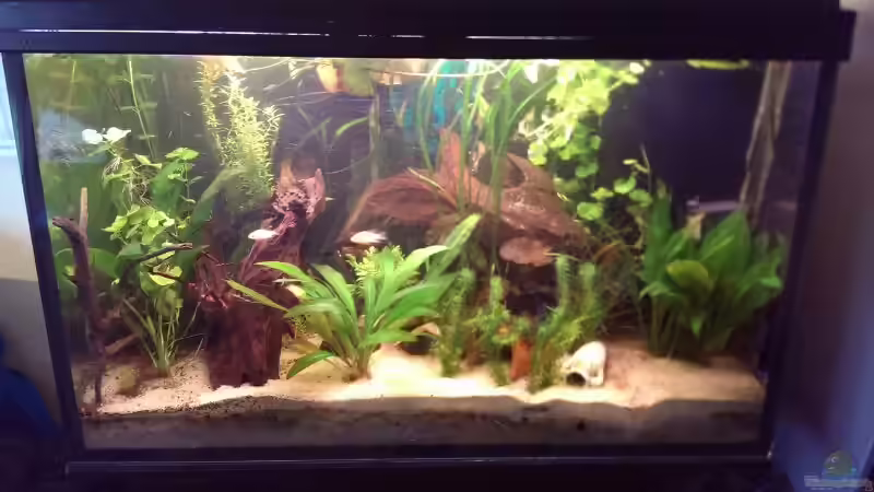 Stand 19.02.2014 von Tobi L. (3)