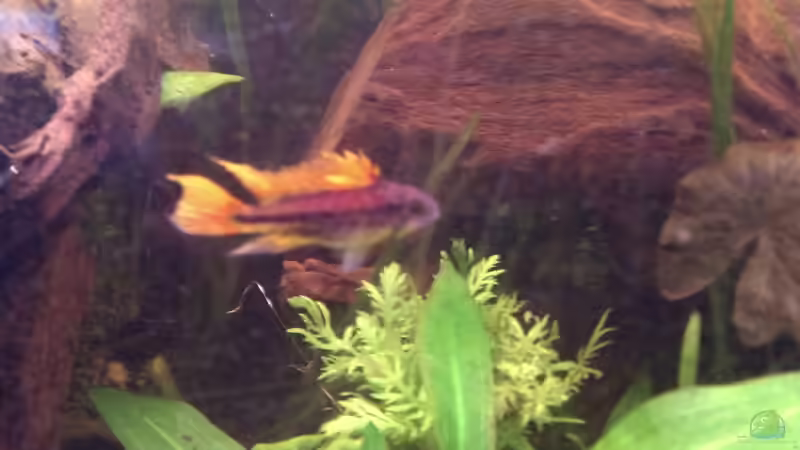 Stand 19.02.2014 von Tobi L. (42)