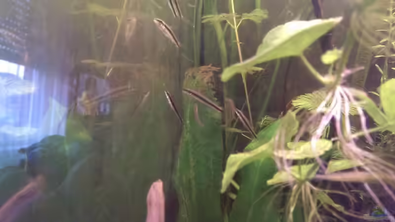 Stand 19.02.2014 von Tobi L. (43)