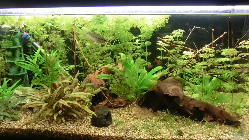 Stand 19.04. von . (10)