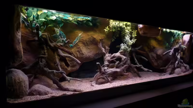 Stand 20.02.14 1. Tag mit Wasser ;-) von ~Marco~ (6)