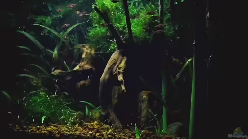 Stand 20.02.2014 von snooze (8)