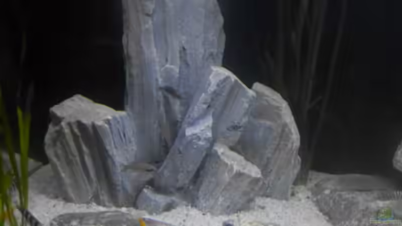 Stand 20.1.19 von Malamute (6)