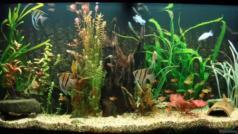 Stand 2009 vorm Hagelunwetter von christian (3)