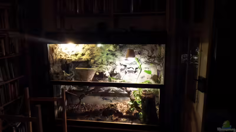 stand 2012 von Tobias Seiffert (2)