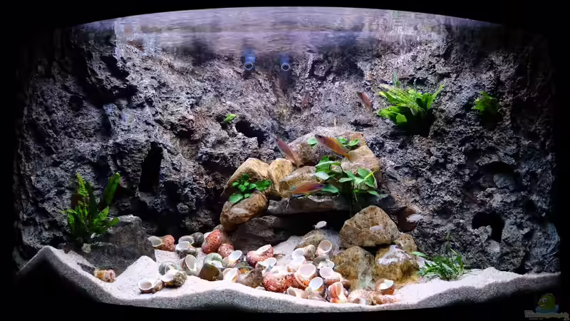 Stand 2015 von Harald Götz (7)