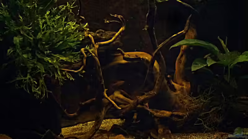 Stand 21. April 2013 von miss_underwaterlove (2)