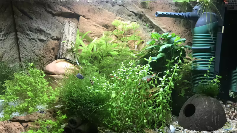 Stand 21.02.19 von Bessey (5)