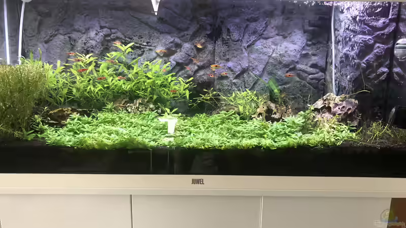 Stand 21.05.2021 von Lanzelot (2)