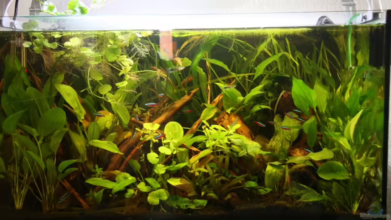 Stand 21.10.11 von A. Twele (9)