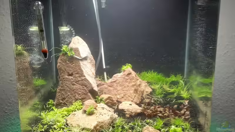 Stand 21.10.15 von Schallex (8)