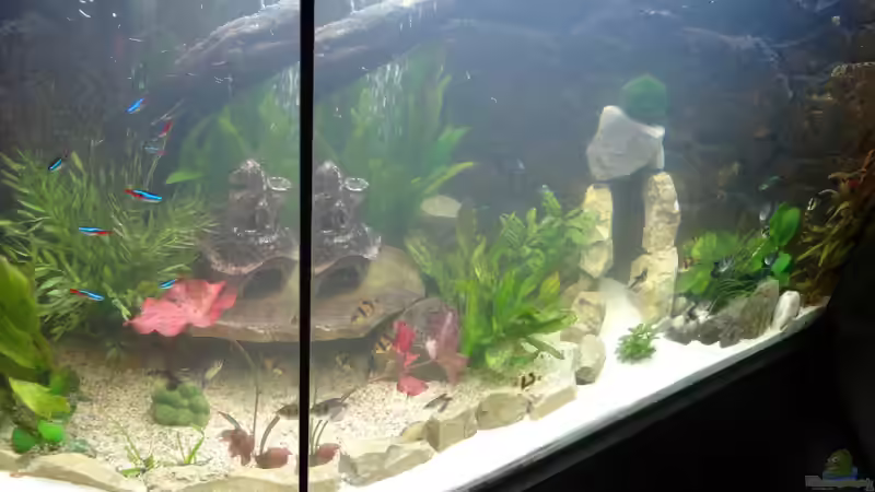 Stand 21 April 2013 von mcfly (27)