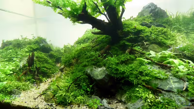 Stand 22.01.12 von -serok- (10)