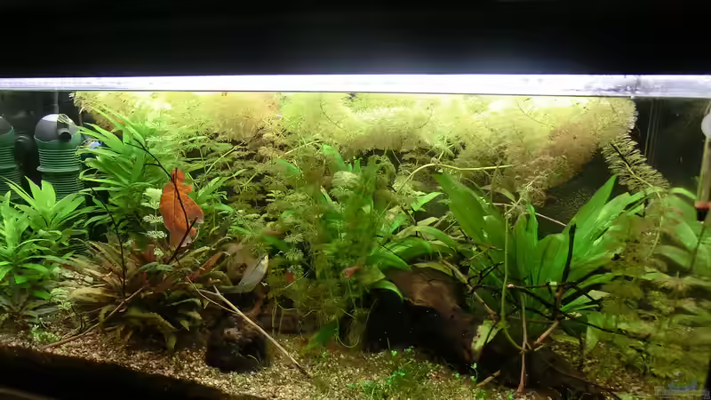 Stand 22.08. von . (15)