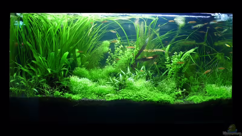 Stand 22.09.09 von Torsten Franke (11)