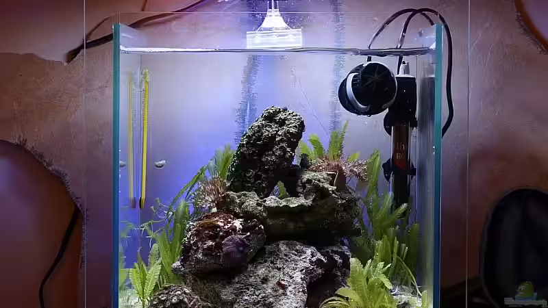 Stand 23.03.2010 von starhopper (8)