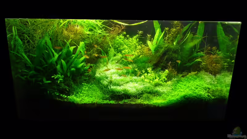 Stand 23.03.2010 von Torsten Franke (1)