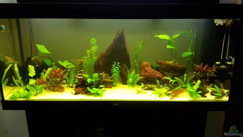 Stand 23.10.2013 von Jensen82 (3)