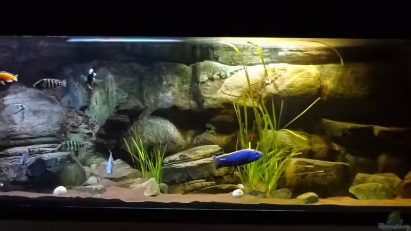 Stand 23.12.12 von TheToxicAvenger (2)