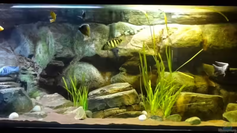 Stand 23.12.12 von TheToxicAvenger (4)