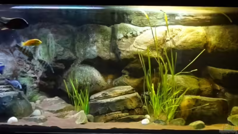 Stand 23.12.12 von TheToxicAvenger (5)