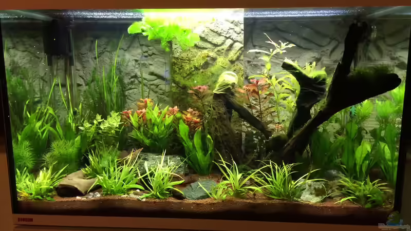 Stand 23.12.2014 von Fliegerle (2)