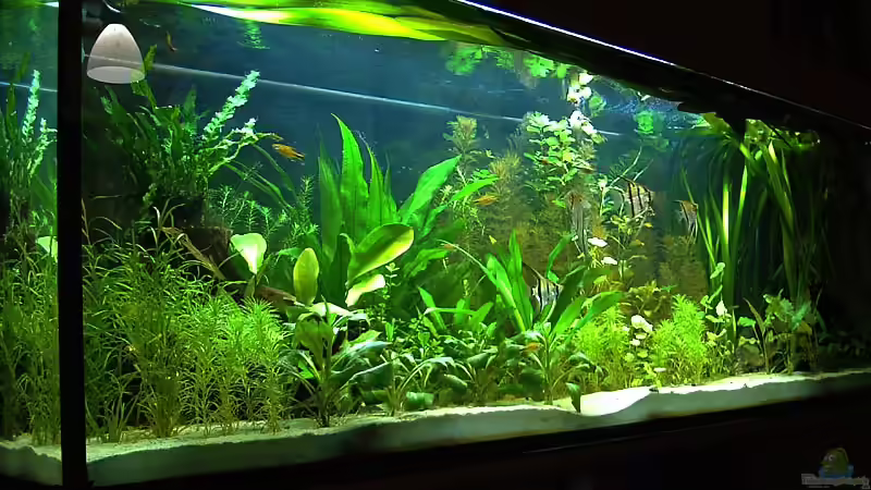 Stand 24.02.09 von Mario74 (5)