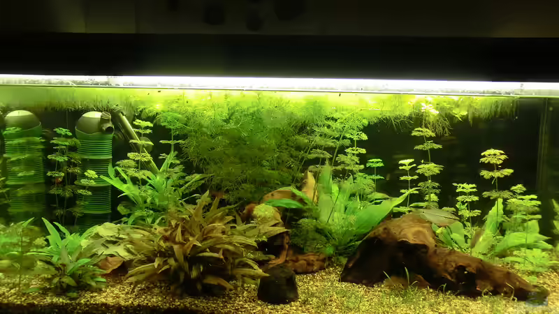 Stand 24.03. von . (8)