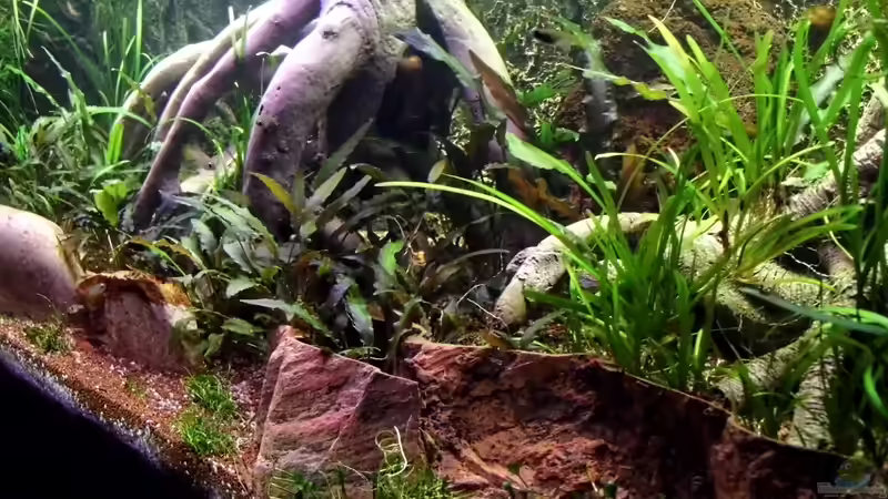 Stand 24.03.2013 von snooze (17)