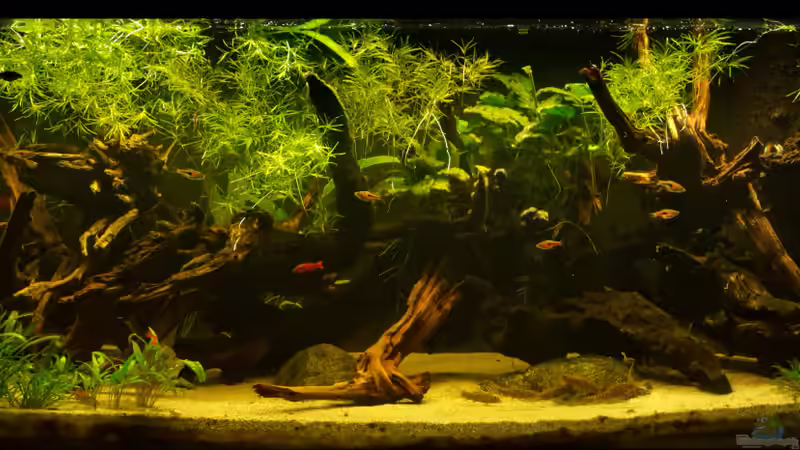 Stand 24.04.2022 von jkrt (1)