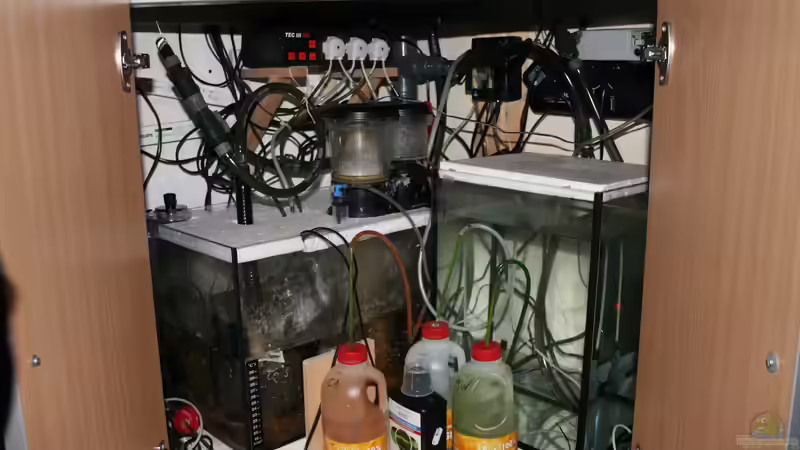 Stand 24.12.2017 von Susanne Axt (34)