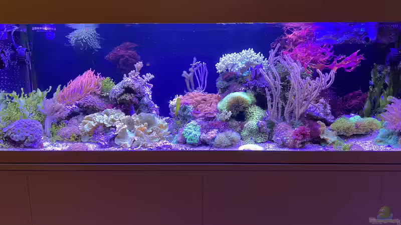 Stand 24.12.2025 von Susanne Axt (11)